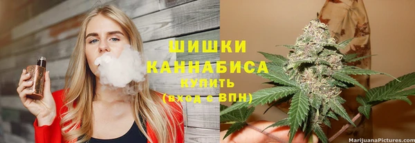 ПСИЛОЦИБИНОВЫЕ ГРИБЫ Абаза
