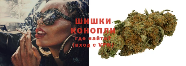 ПСИЛОЦИБИНОВЫЕ ГРИБЫ Абаза
