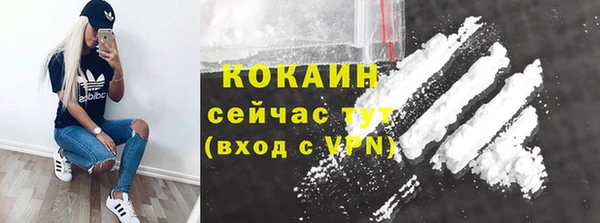 ПСИЛОЦИБИНОВЫЕ ГРИБЫ Абаза