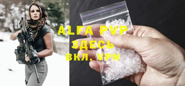 СК Алексин
