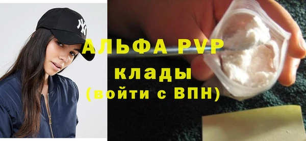 СК Алексин