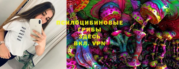 крисы Семилуки
