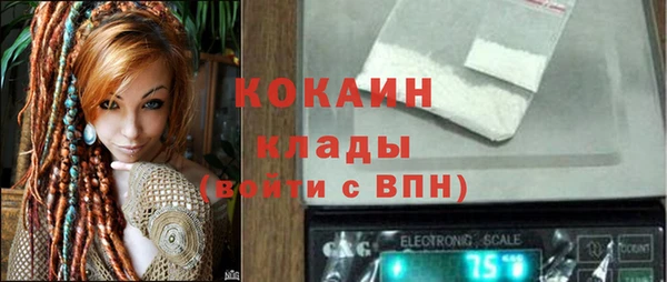индика Семикаракорск