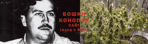 ПСИЛОЦИБИНОВЫЕ ГРИБЫ Абаза